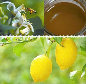 Top Honey, Organic, Pure Lemon Honey, No Antibiotics, No Pesticides, No Pathogenic Bacteria, Nourish