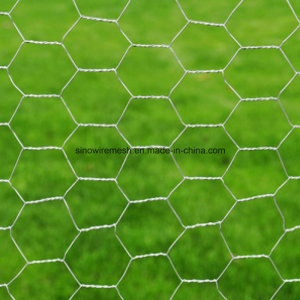 Galvanized Hexagonal Wire Netting by Made in China