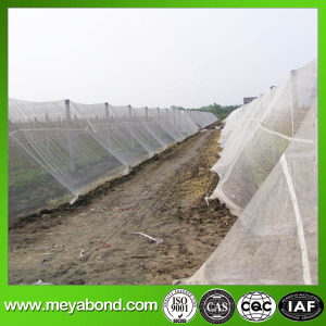 High quality Anti Insect Net for Greenhouse